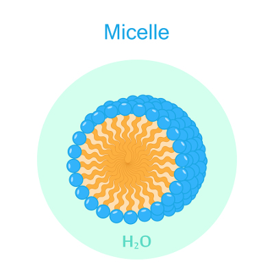 surfactant micelle